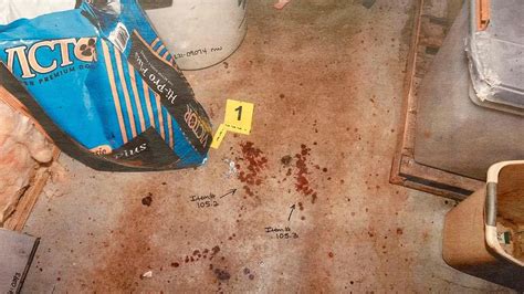 maggie murdaugh leaked autopsy photos|Murdaugh Murders: Crime Scene Photos Shown in Court